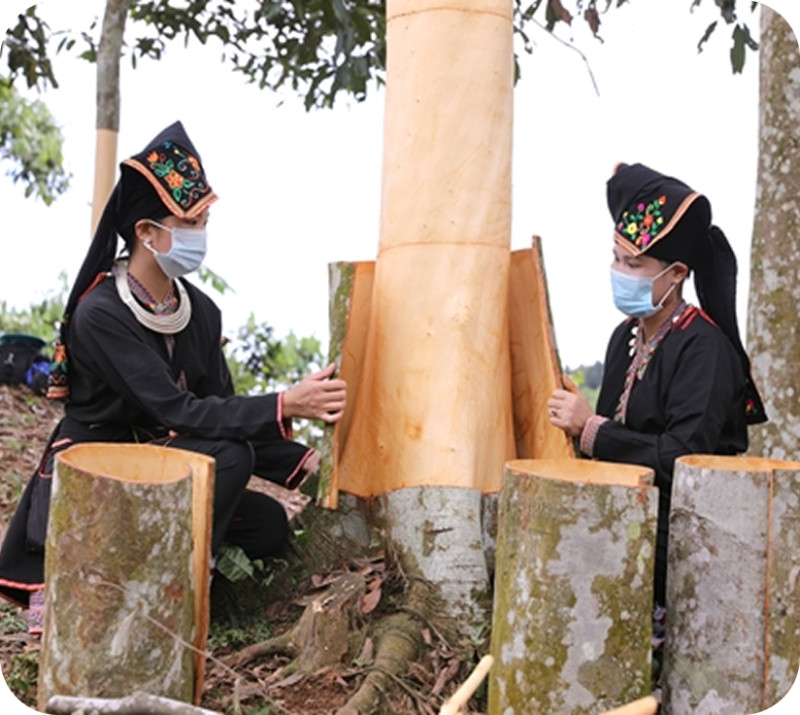 Hỗ trợ phát triển cơ sở hạ tầng, y tế và giáo dục ở các vùng sâu, vùng xa.