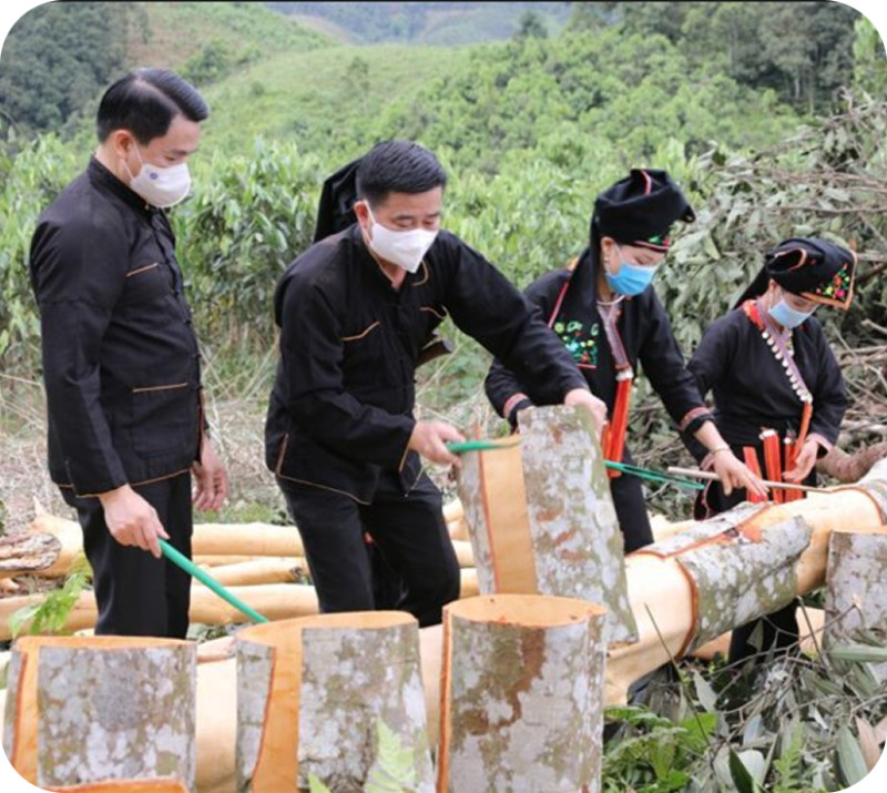Thiết lập các tiêu chuẩn bền vững rõ ràng cho tất cả các đối tác và nhà cung cấp.