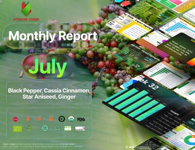 PTEXIM Market Update: Monthly Report Week 32 – 2026