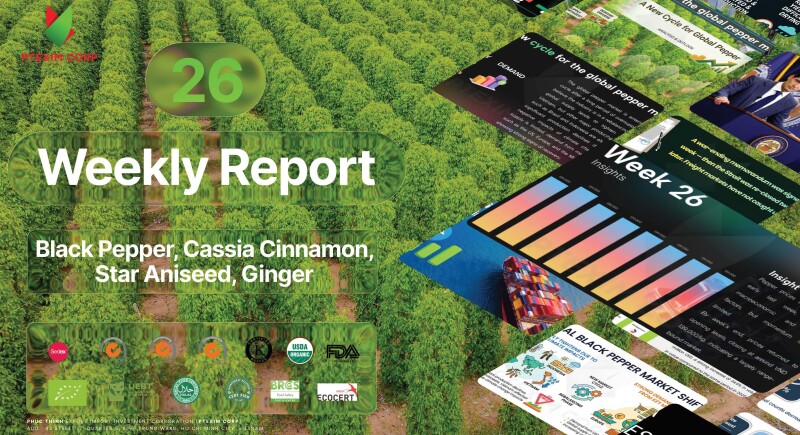 Pepper, Cassia, Star Anise, Ginger, Other Spices Market Update Week 26 -2026