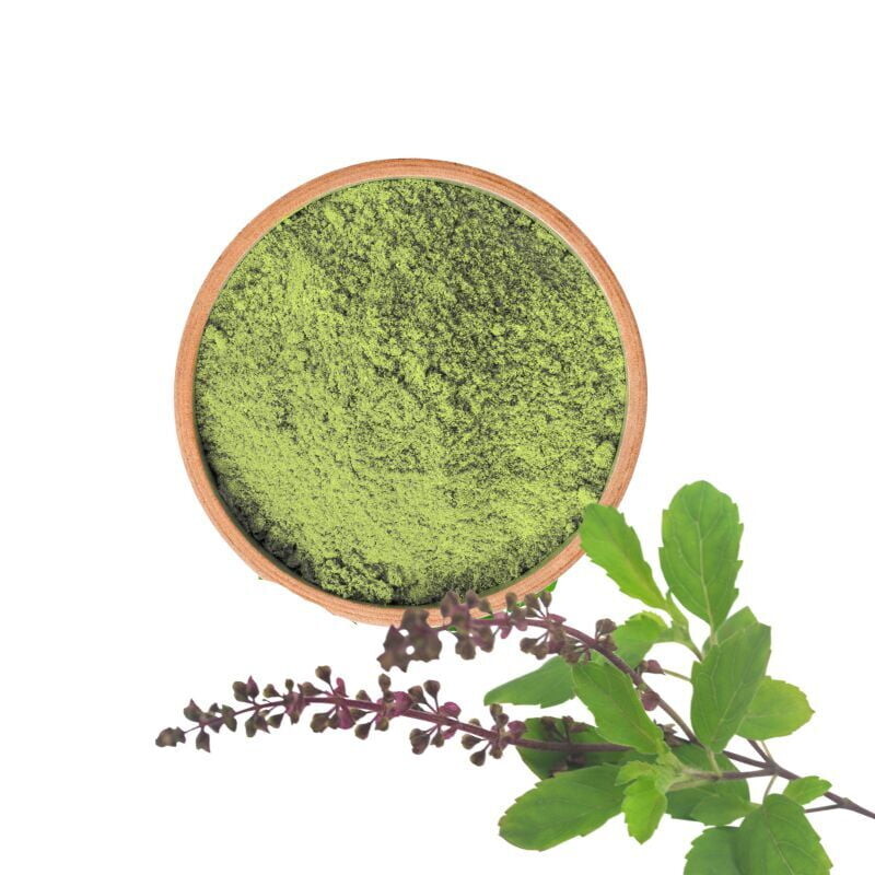 Basil Leaves Powder