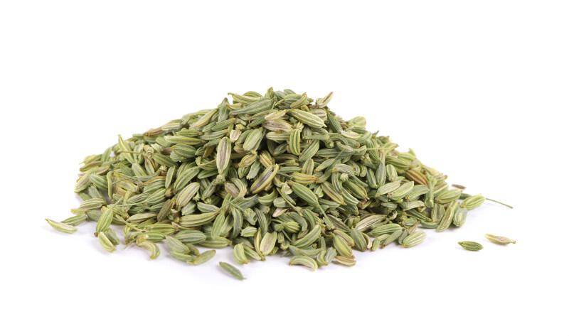 Fennel