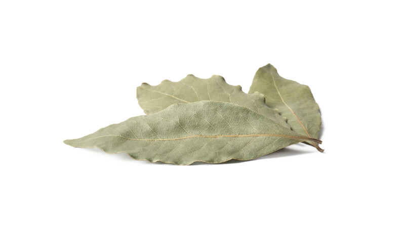 Bay Leaf